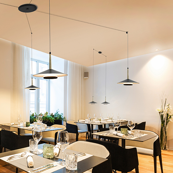 Светильник подвесной Orion 7307