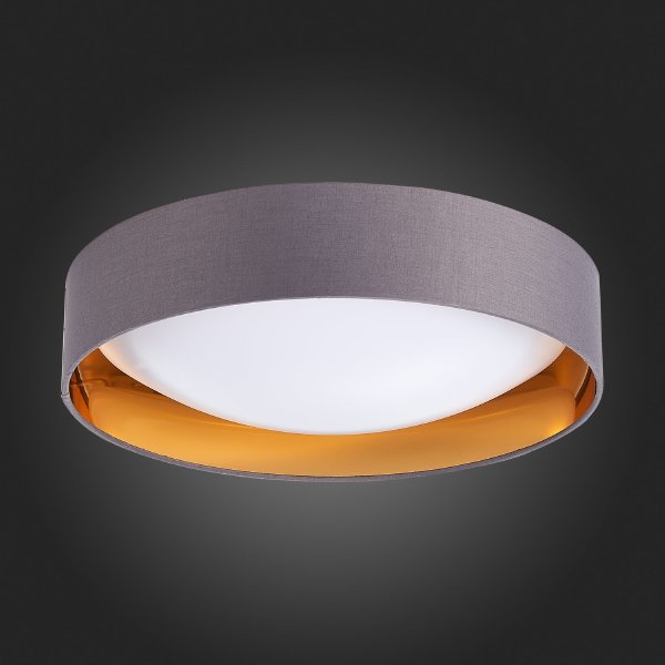 Светильник потолочный Orbio SLE201112-01