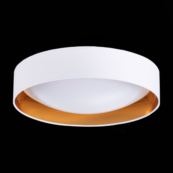 Светильник потолочный Orbio SLE201122-01