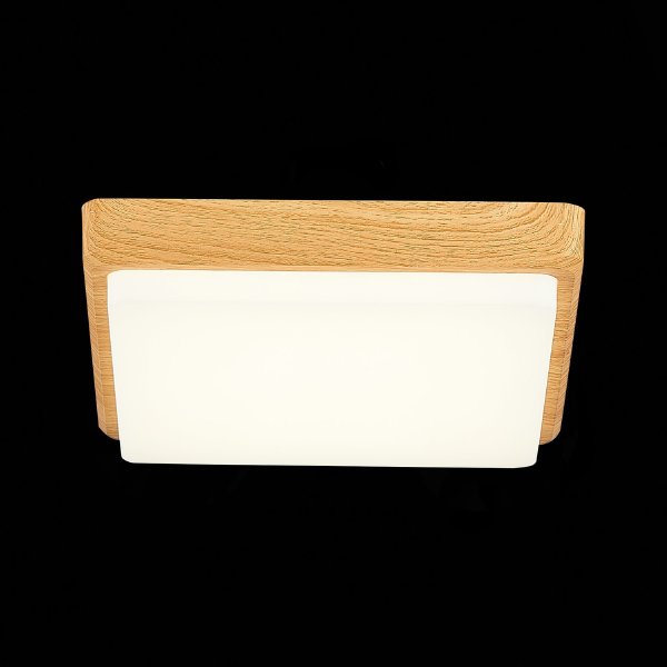 Светильник потолочный Taddio SLE200202-01