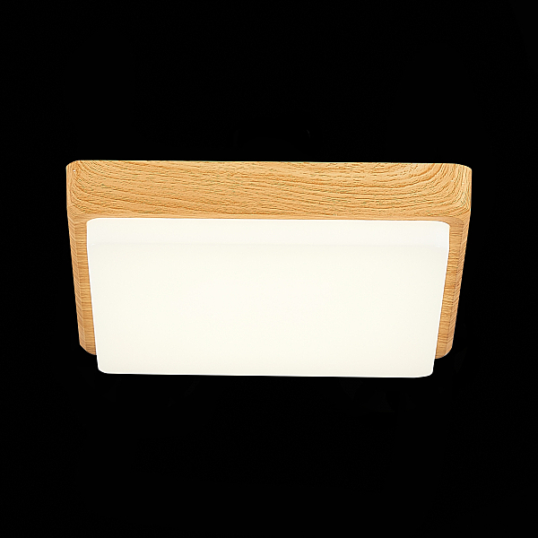 Светильник потолочный Taddio SLE200202-01