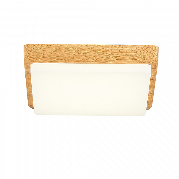 Светильник потолочный Taddio SLE200202-01