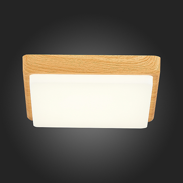 Светильник потолочный Taddio SLE200202-01