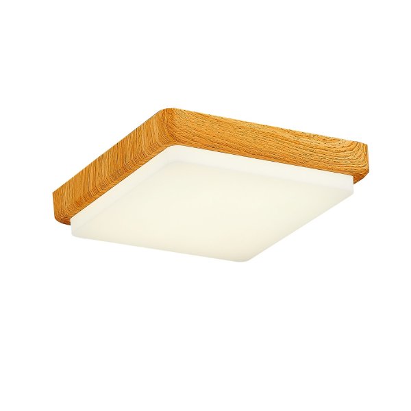 Светильник потолочный Taddio SLE200202-01