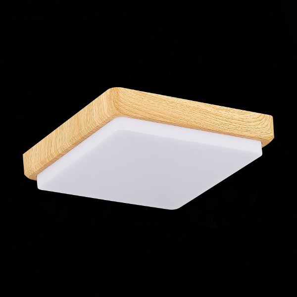 Светильник потолочный Taddio SLE200202-01