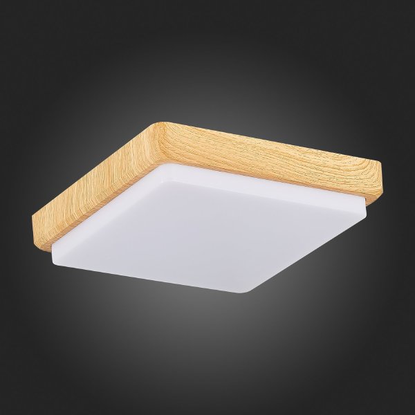 Светильник потолочный Taddio SLE200202-01