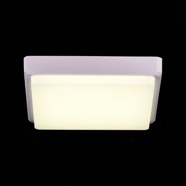 Светильник потолочный Taddio SLE200212-01