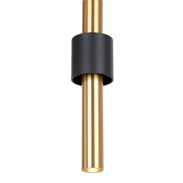 Светильник подвесной Барлетта LH4095/1P-GD-SBK