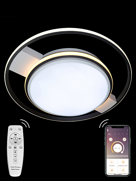 Потолочная люстра High-Tech Led Lamps HIGH-TECH LED LAMPS 82001
