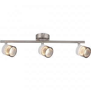 Светильник спот Rosa TL1230Y-03SN