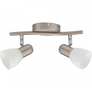 Светильник спот Violet TL1231Y-02SN