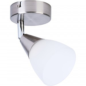 Светильник спот Keziah TL1232Y-01SN