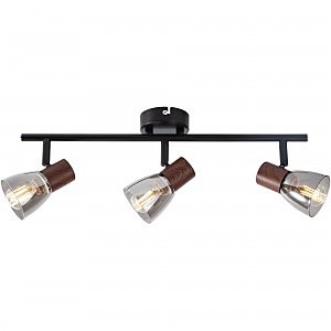 Светильник спот Lavinia TL1233Y-03BB