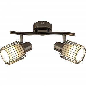 Светильник спот Laurine TL1252Y-02BC