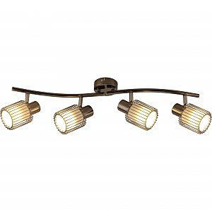 Светильник спот Laurine TL1252Y-04BC