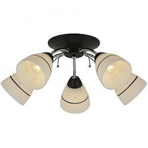 Потолочная люстра Winnifred TL1255D-05BC