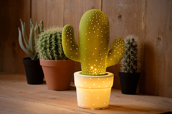 Детский ночник Cactus 13513/01/33