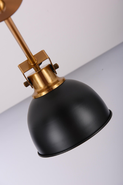 Люстра на штанге Lumina Deco LDP D017-5 BK