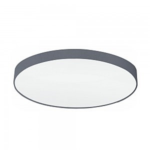 Светильник потолочный Pasteri 32952