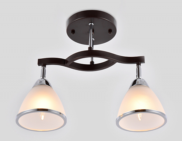 Потолочная люстра Traditional TR3111