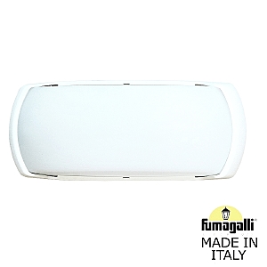 Уличный настенный светильник Francy 2A1.000.000.WYF1R