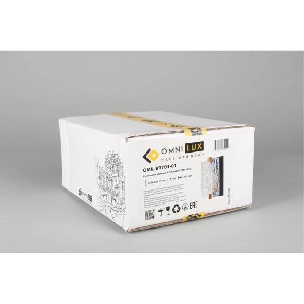 Настенное бра Onte OML-99701-01