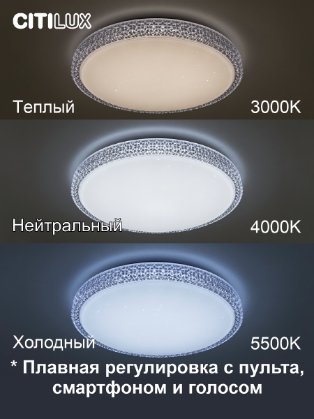 Светильник потолочный Альпина CL718A40G