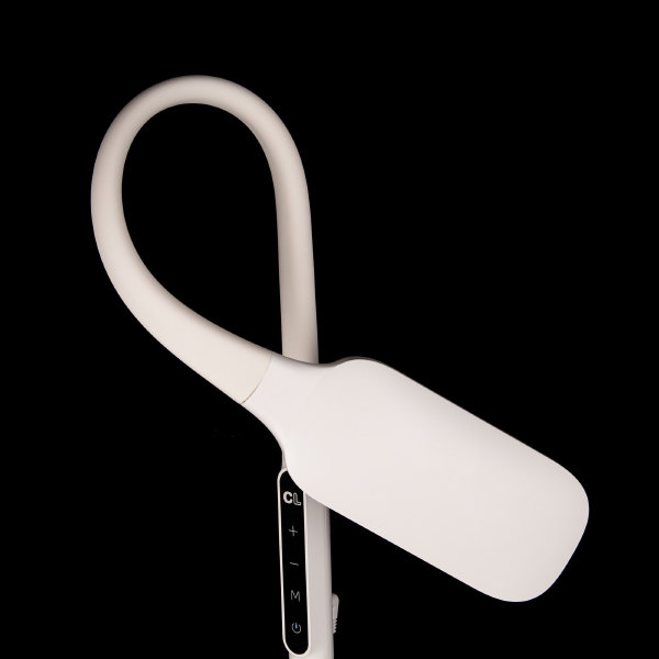 Торшер Марк CL804020