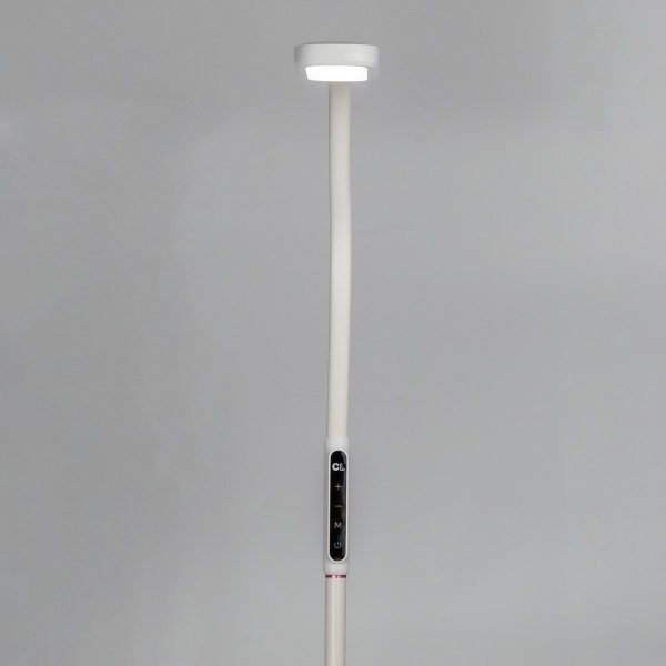 Торшер Марк CL804020