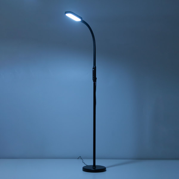 Торшер Марк CL804021