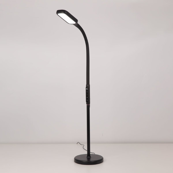 Торшер Марк CL804021