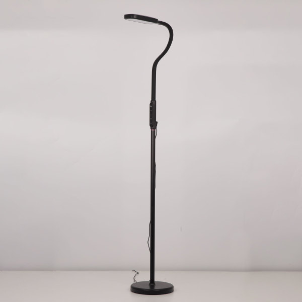 Торшер Марк CL804021