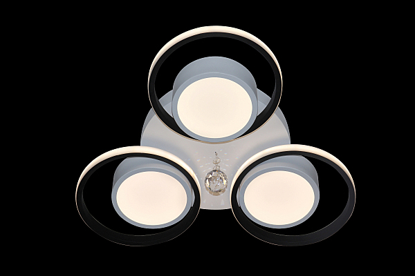 Потолочная люстра High-Tech Led Lamps HIGH-TECH LED LAMPS 82046