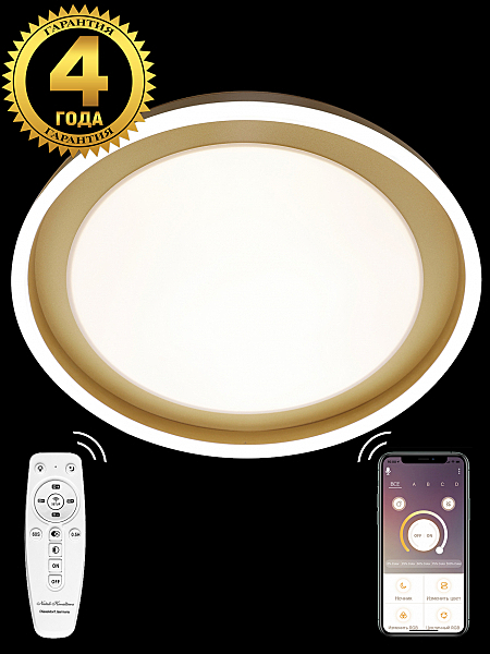 Светильник потолочный Led Lamps LED LAMPS 81301