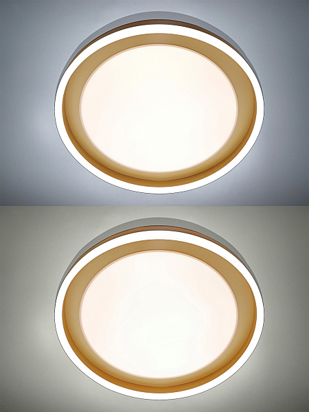 Светильник потолочный Led Lamps LED LAMPS 81301