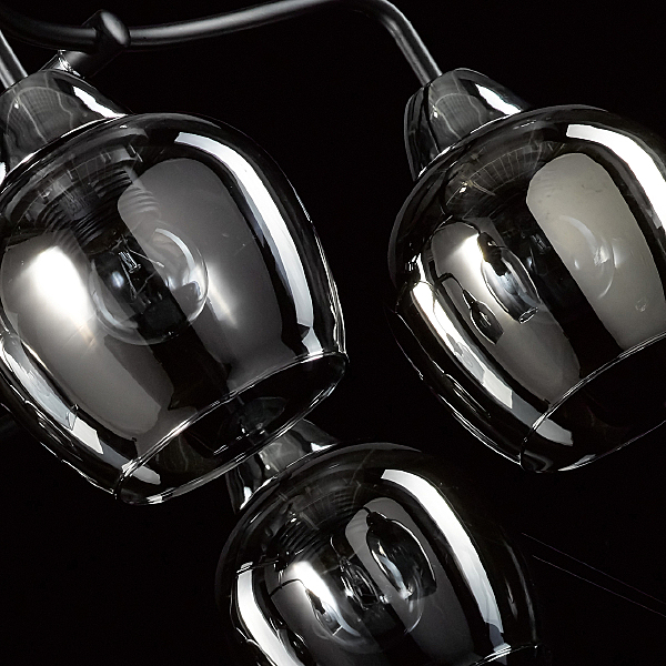 Потолочная люстра Вита 220012706