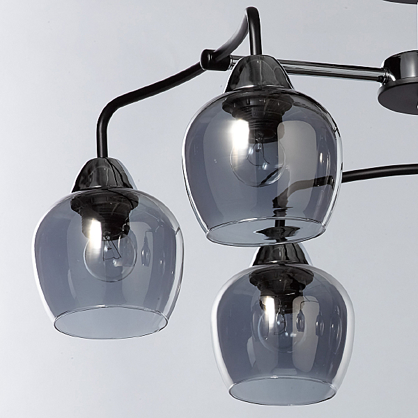 Потолочная люстра Вита 220012706