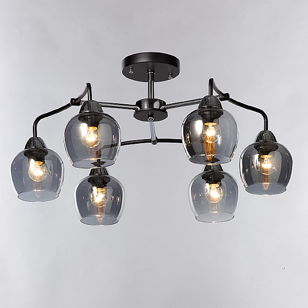 Потолочная люстра Вита 220012706