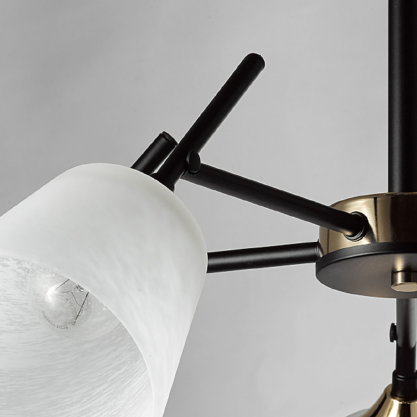 Потолочная люстра Альфа 324014905