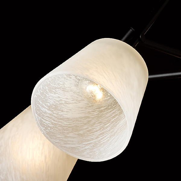 Потолочная люстра Альфа 324014905