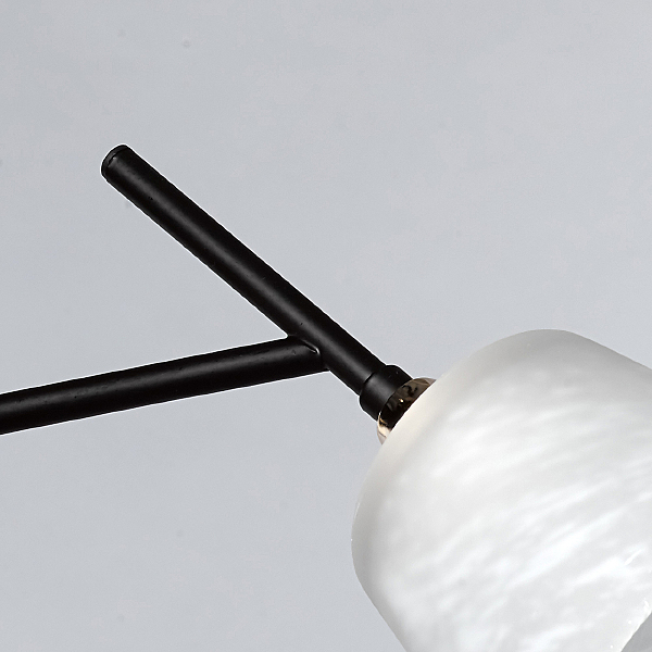 Потолочная люстра Альфа 324014905