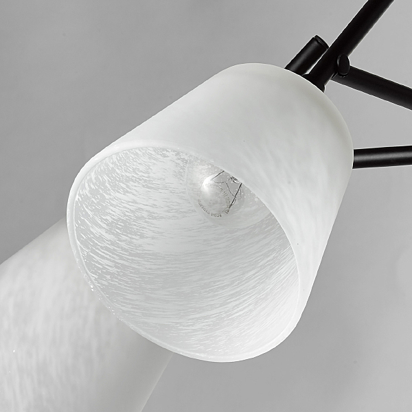 Потолочная люстра Альфа 324014905