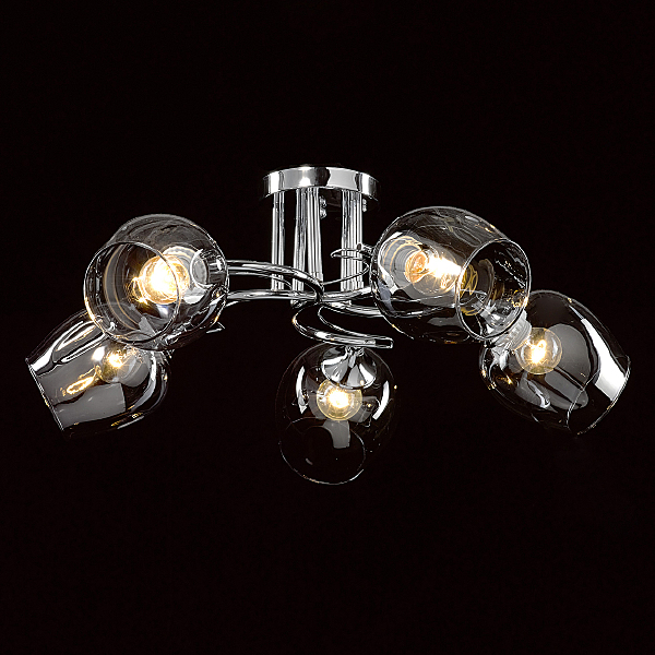 Потолочная люстра Альфа 324016105