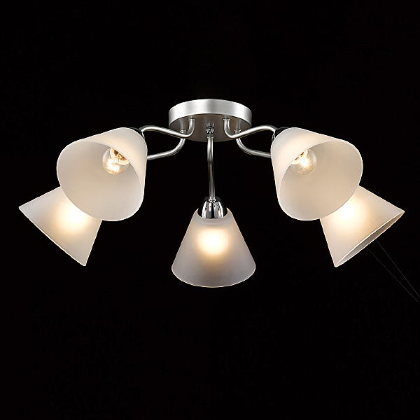 Потолочная люстра Нежность 676015205
