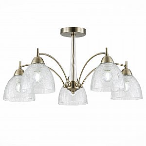 Потолочная люстра Nuele SLE104402-05