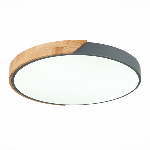 Светильник потолочный Festa SLE200972-01