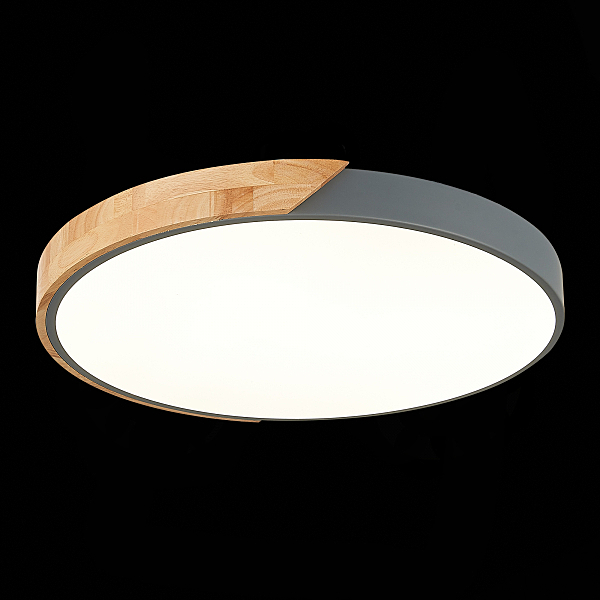 Светильник потолочный Festa SLE200972-01