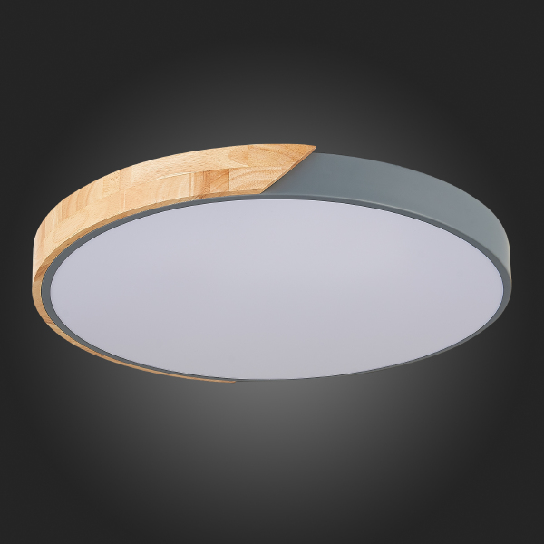 Светильник потолочный Festa SLE200972-01