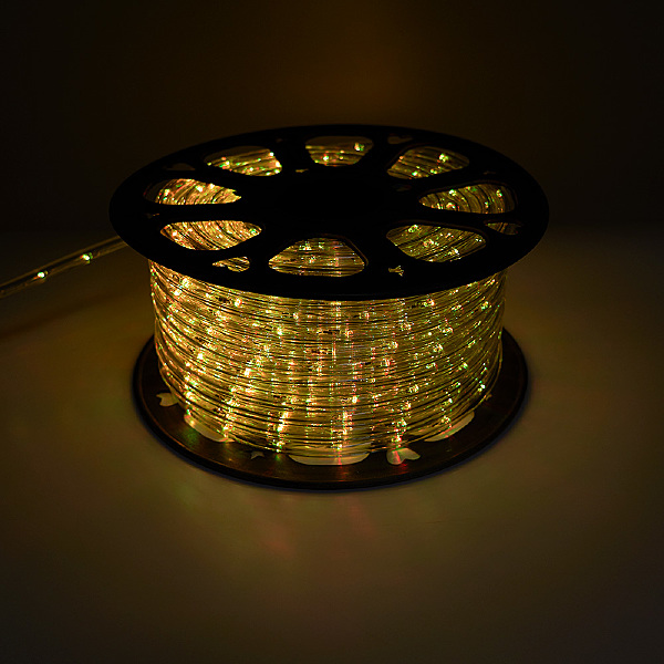Светодиодный шнур LED-R2W 41031