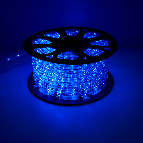 Светодиодный шнур LED-R2W 41031